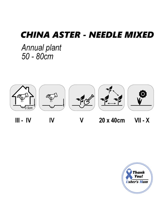 China Aster Needle Mixed Seeds 1g