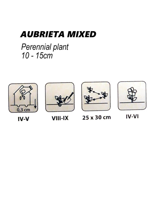Aubrieta Mixed seeds 0.3g
