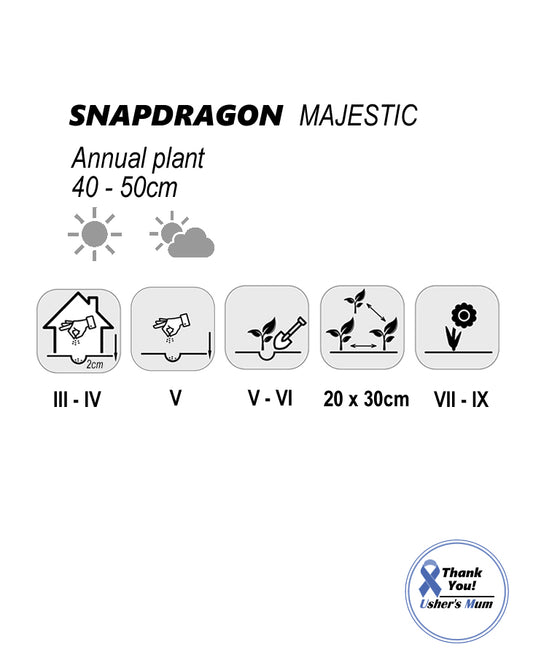 Snapdragon Majestic seeds 0.5g